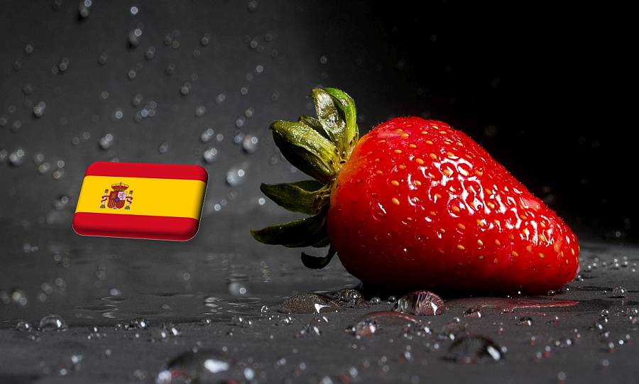 Spanyolország: ismét aszállyal küzdenek Huelva körzetében