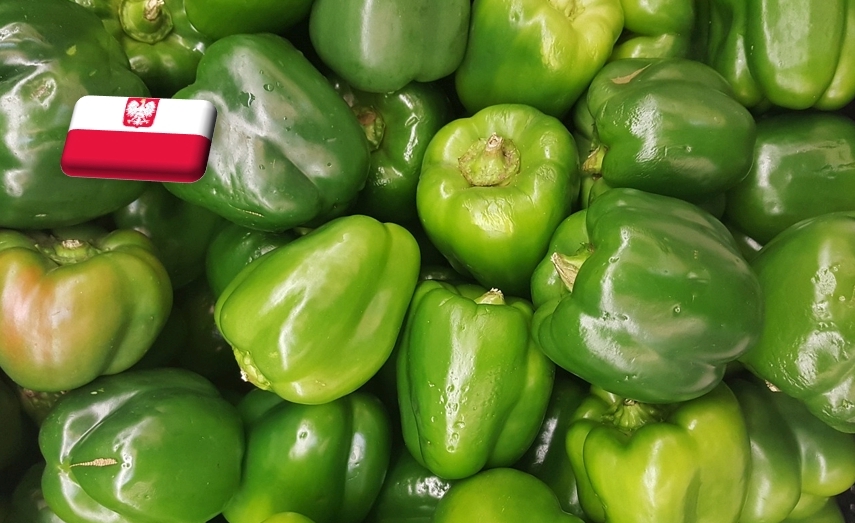 Lengyelország: a tavalyinál két héttel korábban kezdődik a paprika szezonja